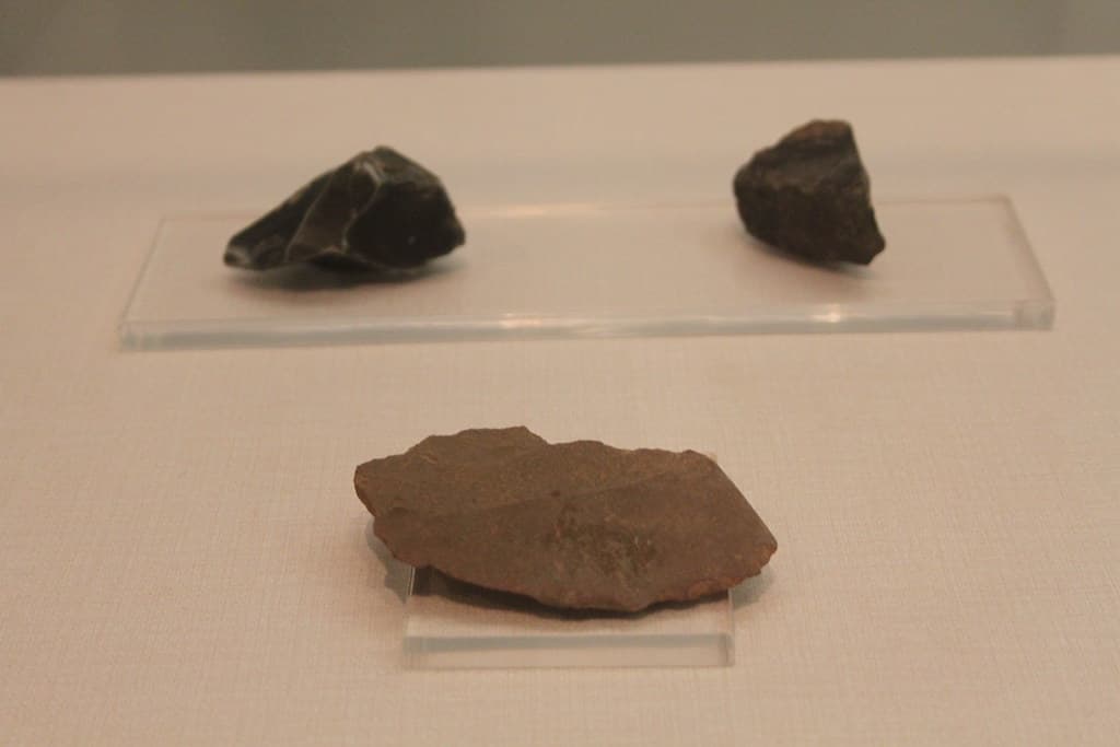 Paleolithic Tools