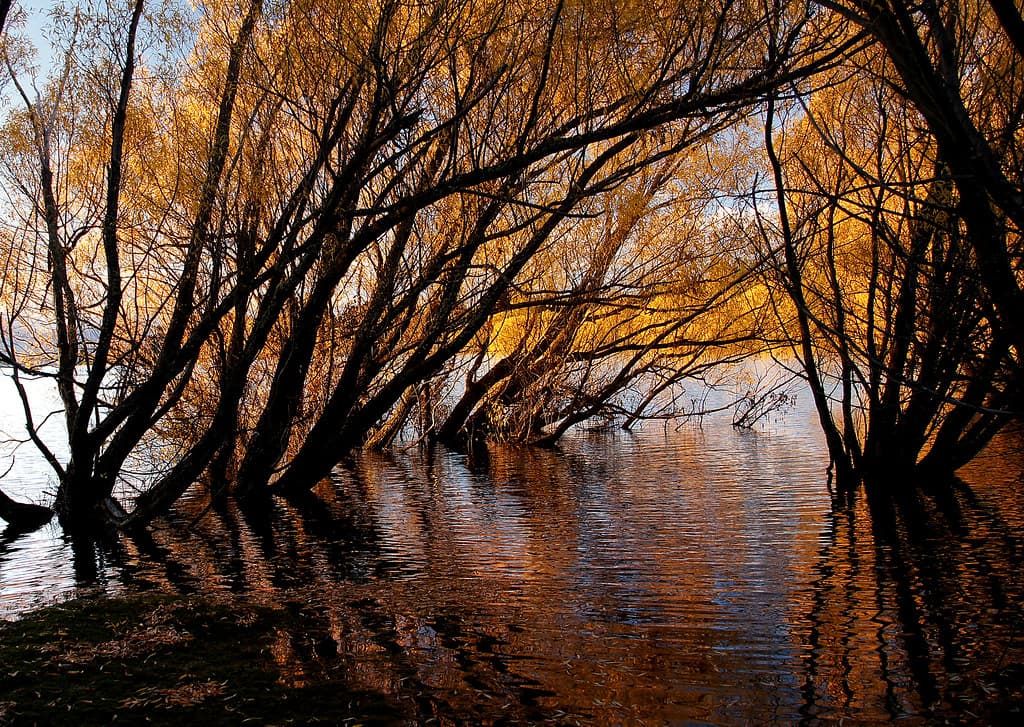 Autumn at Lake Tekapo NZ