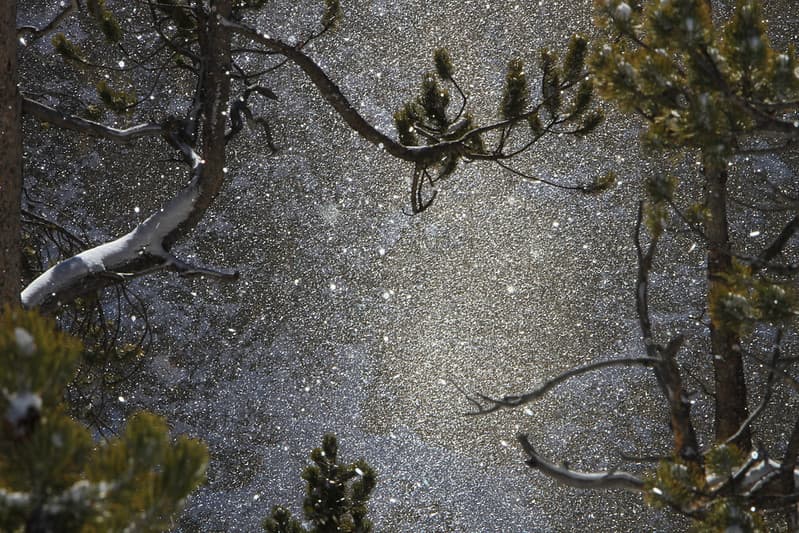 Snowfall at Canyon