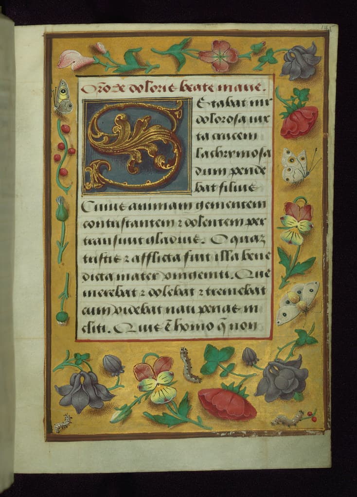 Binding, book, bookofhours