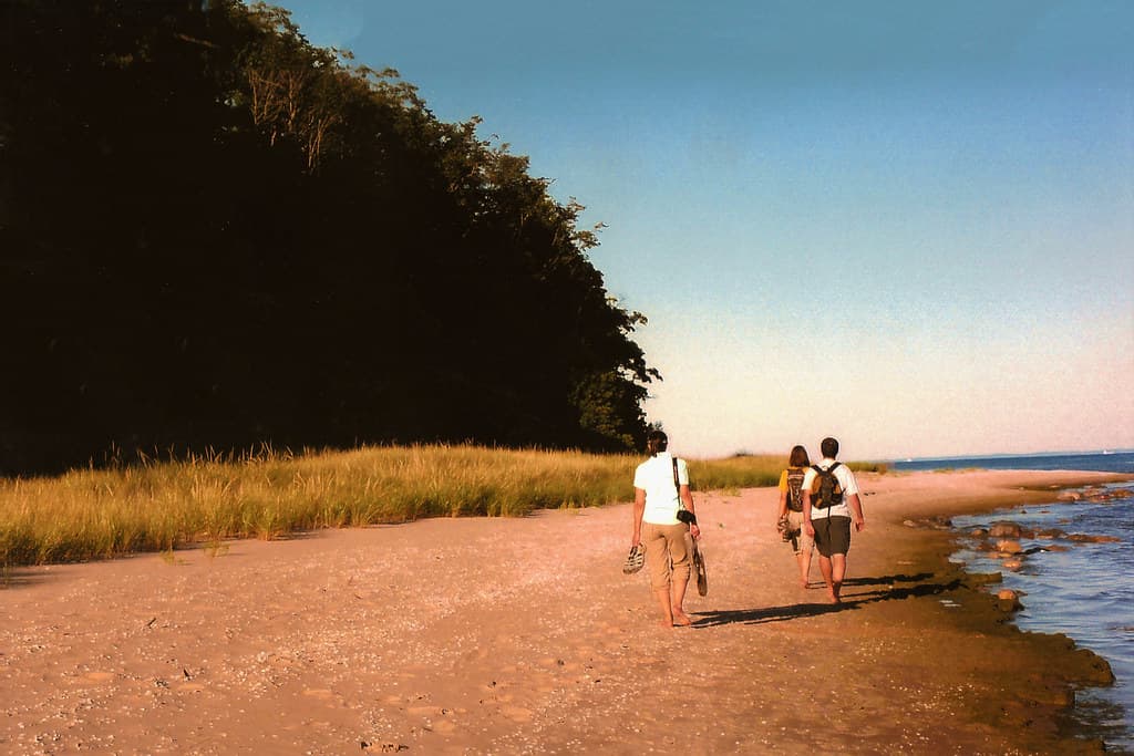 Three People Walking Barefoot on Shore
