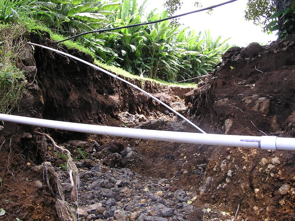 Soil erosion at a coffee farm in S. Kona after a flash flood in 2004