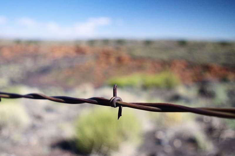 America, arizonabarbedwire, barbed