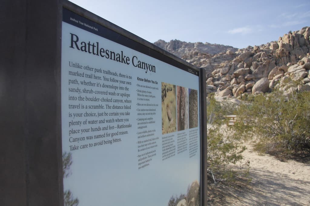 Rattlesnake Canyon Trailhead; Twentynine Palms, CA