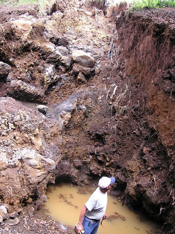 Soil erosion at a coffee farm in S. Kona after a flash flood in 2004