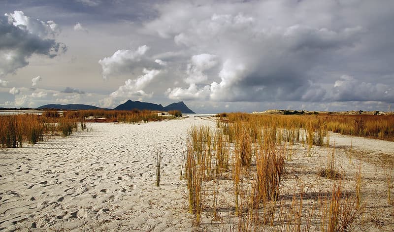 Ruakaka Beach. Before the rain.