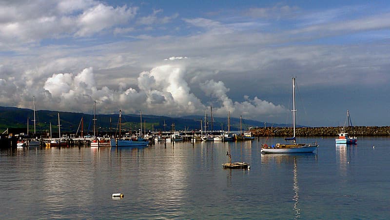 Boat Harbour Apollo Bay