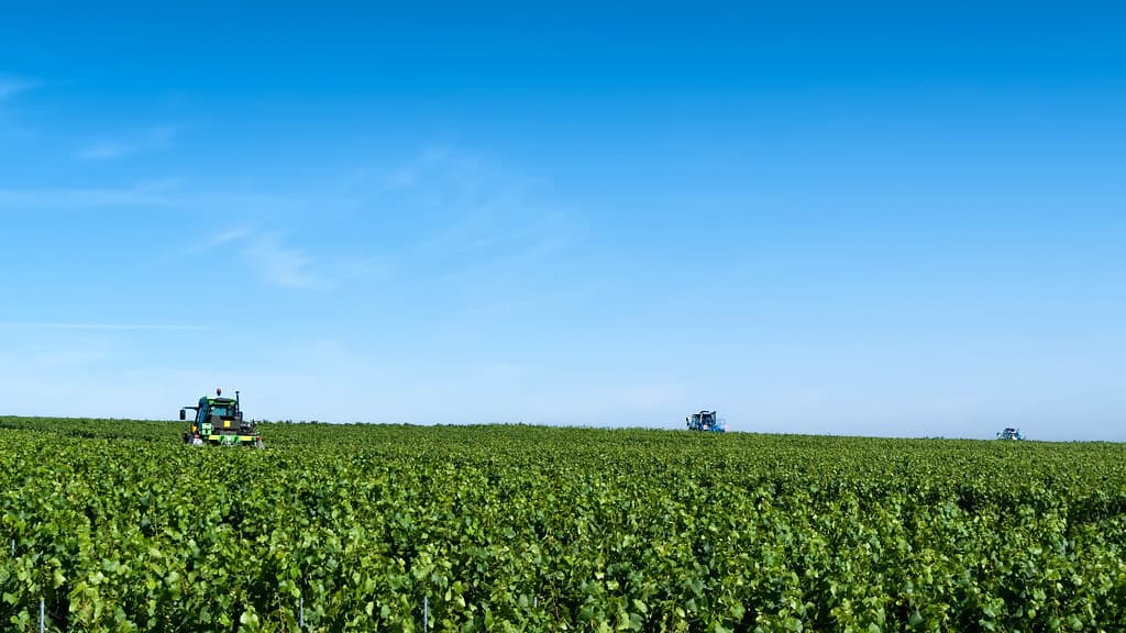Vineyard grass trimmers