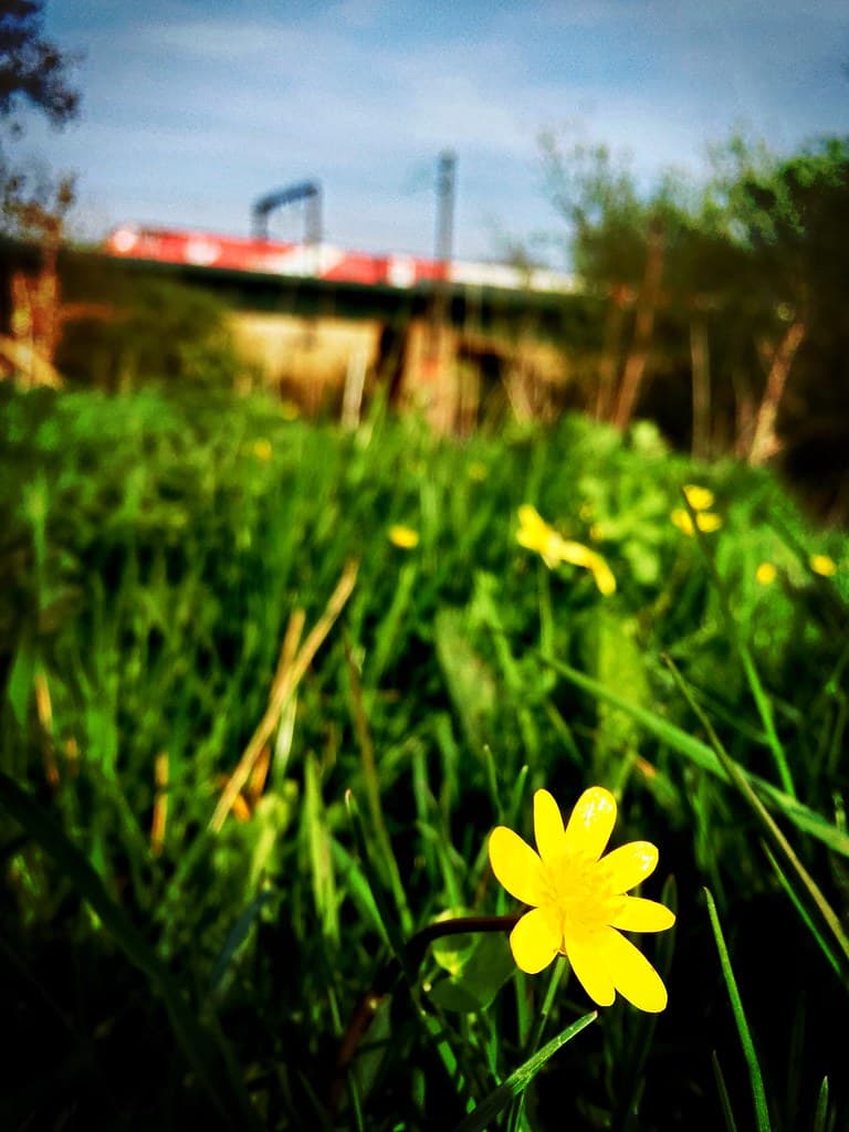 Build Me Up Buttercup