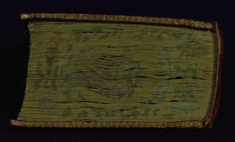 Prayer Book (Use of Rome), St. John, Walters Manuscript W.438, Head