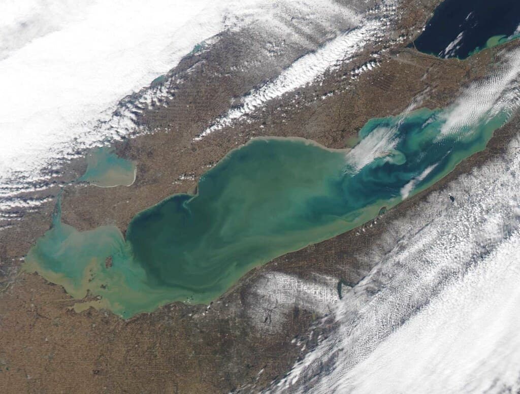 Lake Erie HABs MODIS Satellite Aug 2014