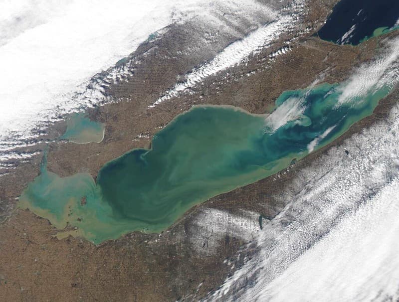 Lake Erie HABs MODIS Satellite Aug 2014