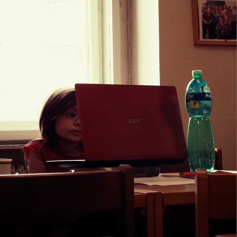 Little Girl with Laptop 1