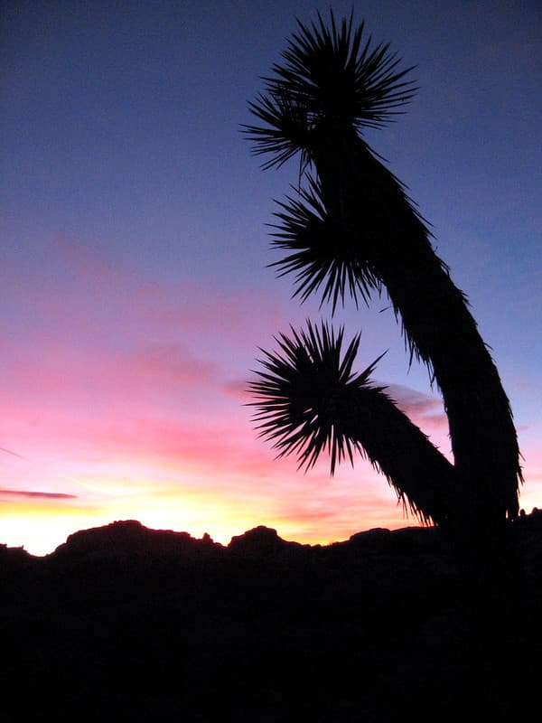 Sunset at Jumbo Rocks