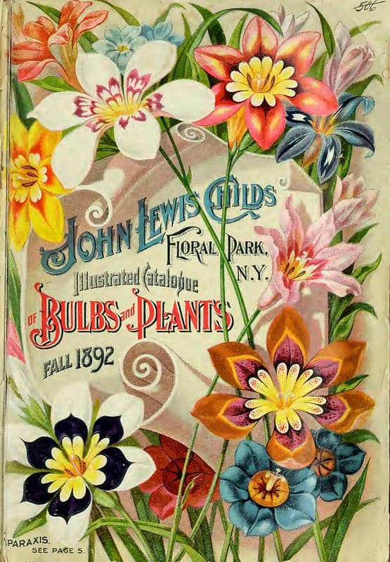 Sparaxis. John Lewis Childs, Inc. (1892)