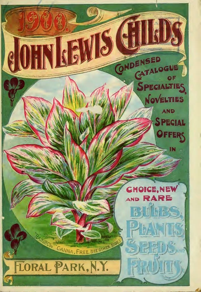 Rainbow canna. John Lewis Childs, Inc. (1900)