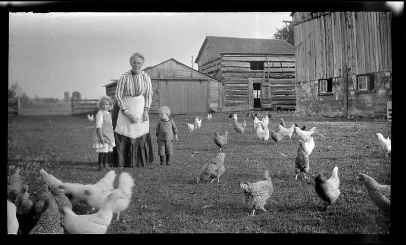 Woman and two young children standing in a farm yard, with chickens