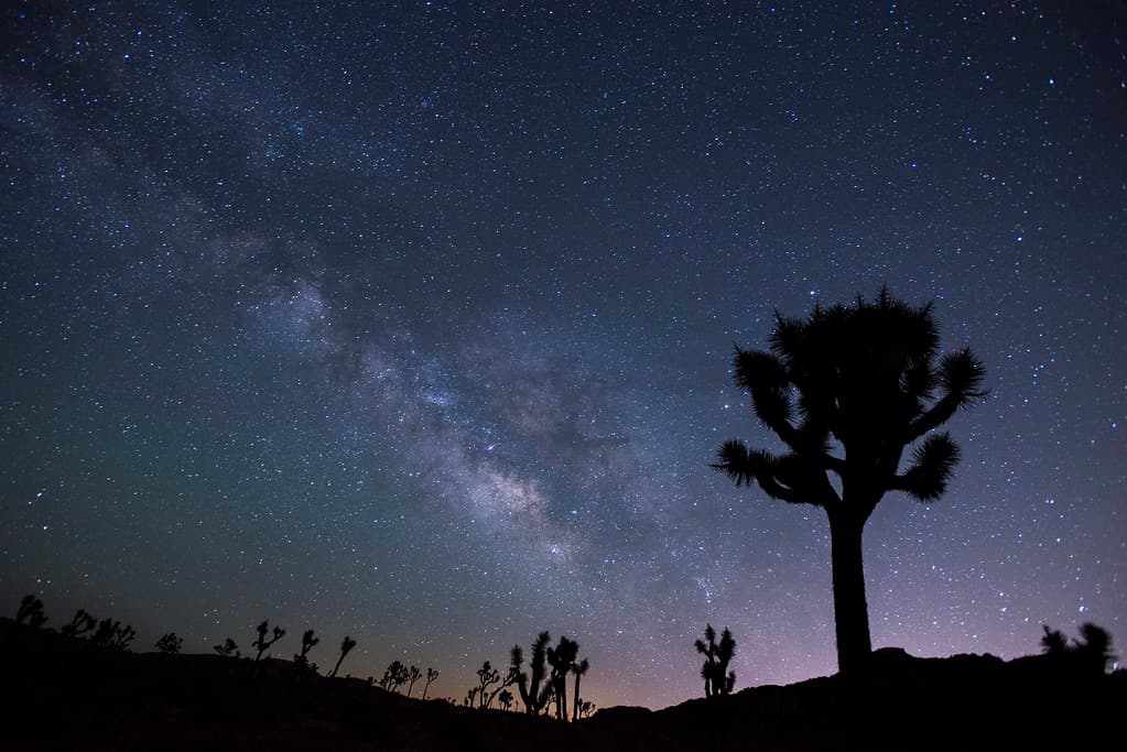 Night Sky