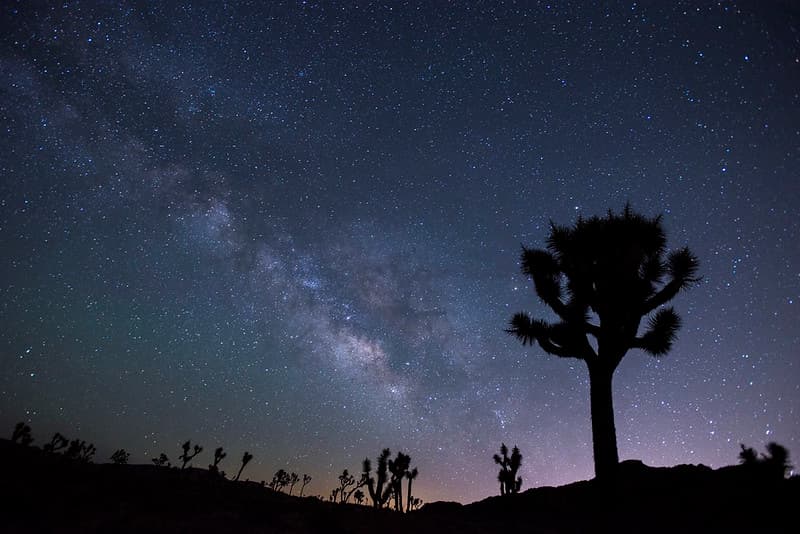 Night Sky