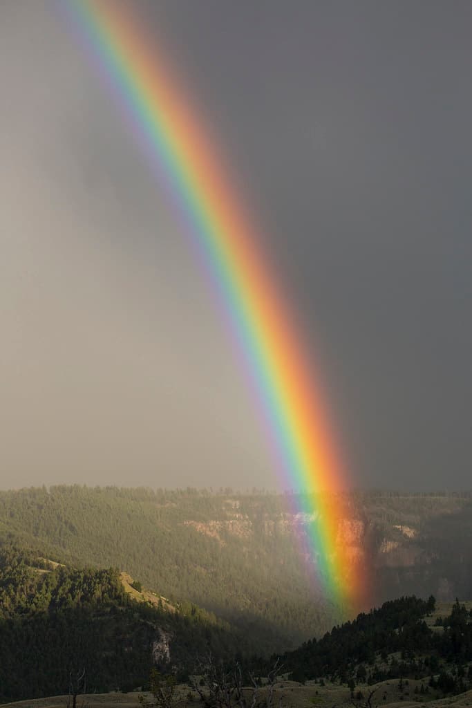 Rainbow over the Gardner River Canyon near Mammoth