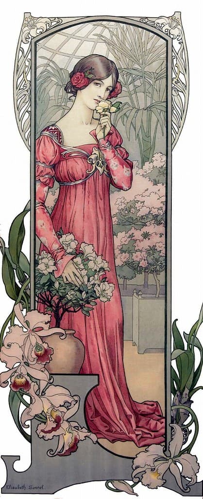 Azalea, azaleaillustration, botanical