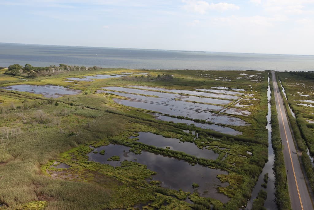 Road to Ocean at Seatuck National Wildlife Refuge