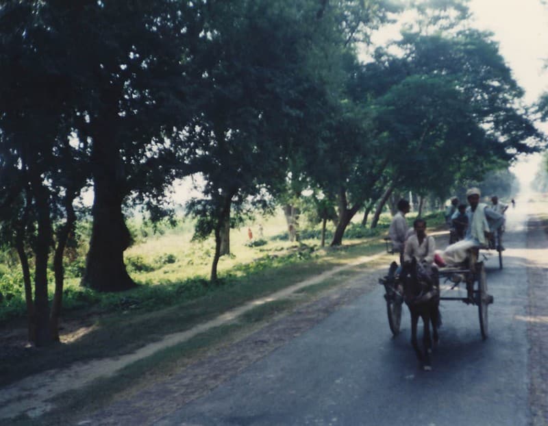 Countrytravel, horsedrawncarts, india