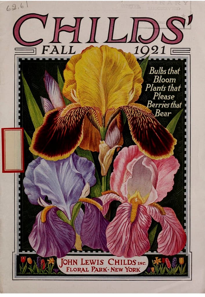 Botanical, botany, flowersorvegetables