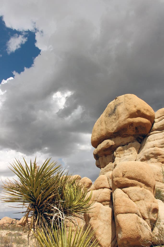 Stirrup Tank Rocks, Clouds, and Mojave Yucca
