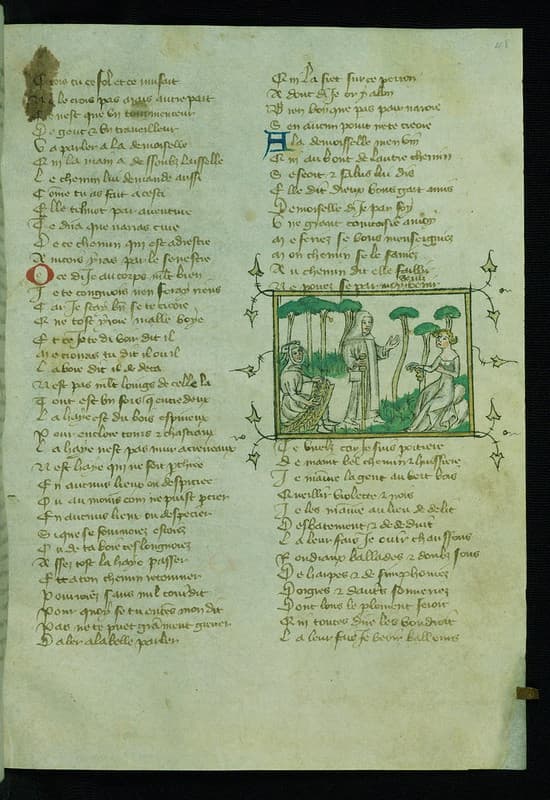 Thcentury, book, christian