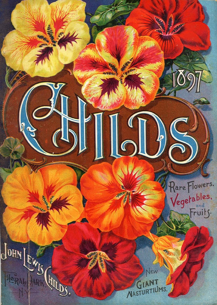 Nasturtiums. John Lewis Childs, Inc. (1897)