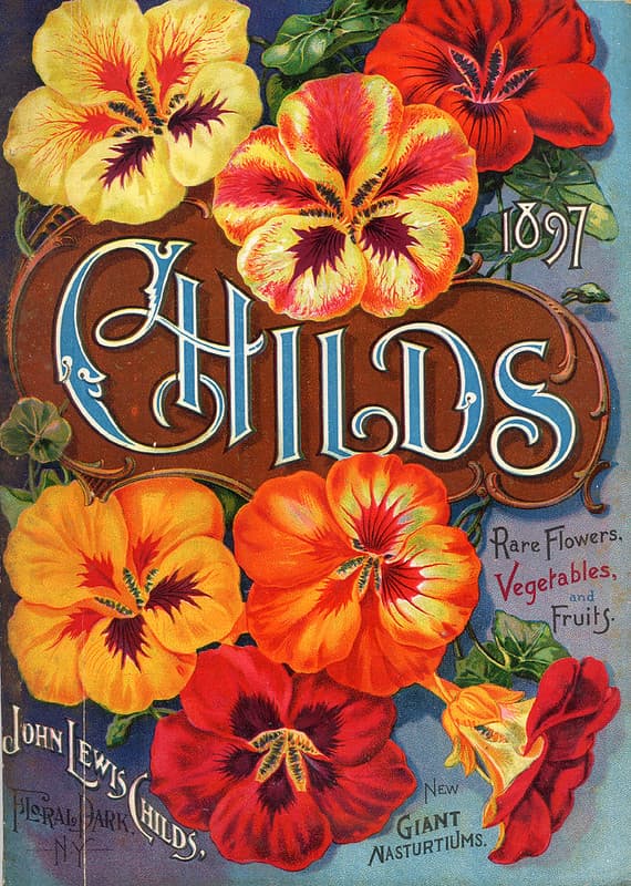 Nasturtiums. John Lewis Childs, Inc. (1897)