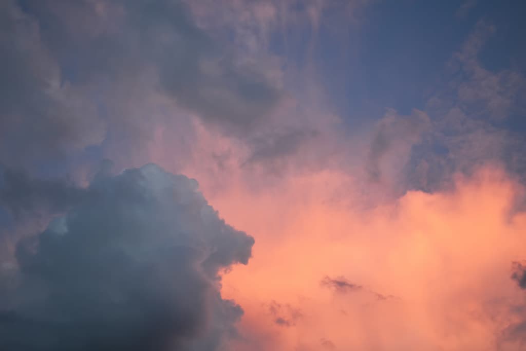 Cloud, color, flowers