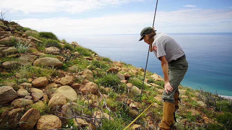 Native Plant Community Monitoring