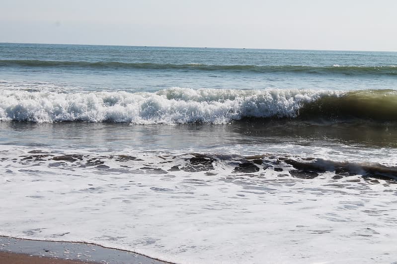 As free as the ocean