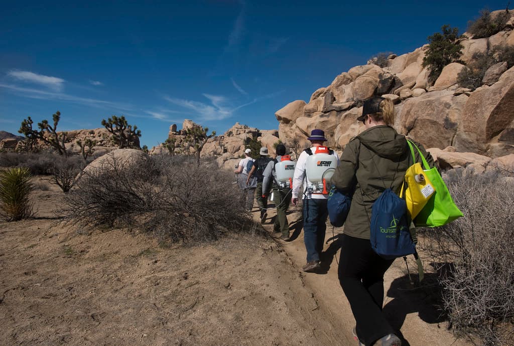 Graffiti Removal Day with Volunteers