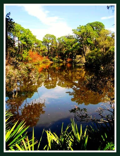 Florida River Wilderness