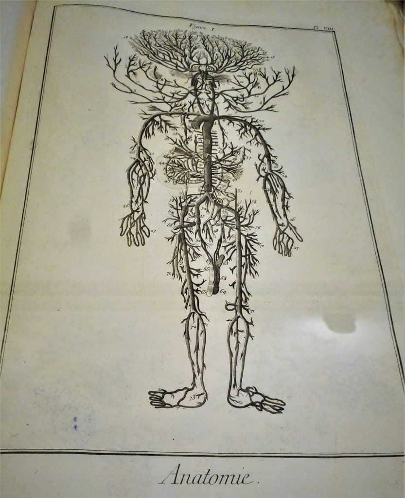 Book, etching, italy