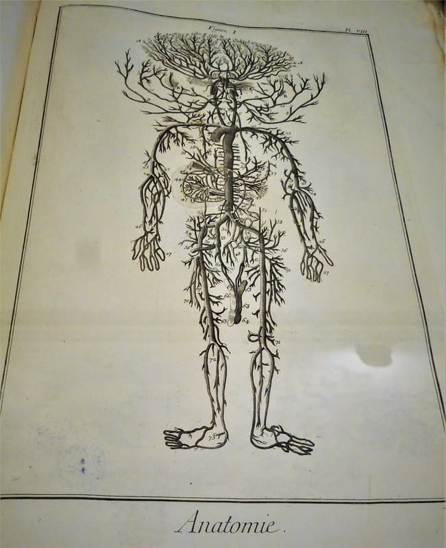 Book, etching, italy