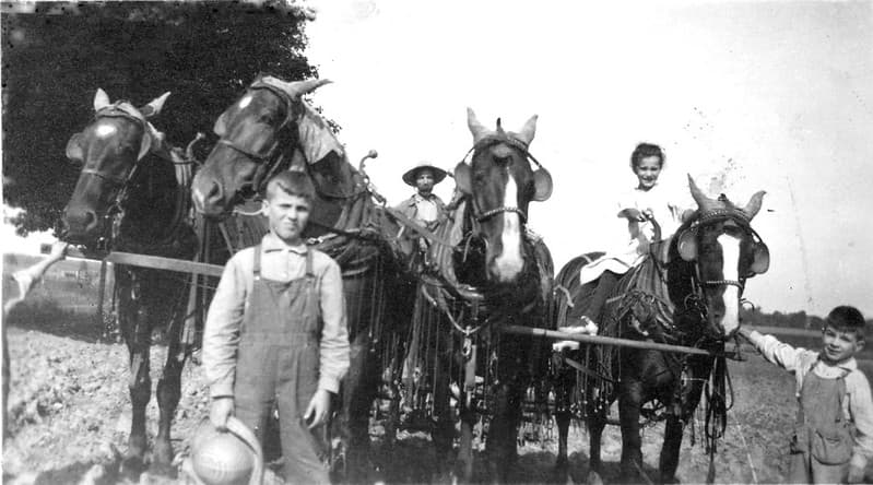 AJ Mathews and children with 4-horse hitch