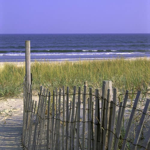 Beach at Chincoteague National Wildlife Refuge (VA)