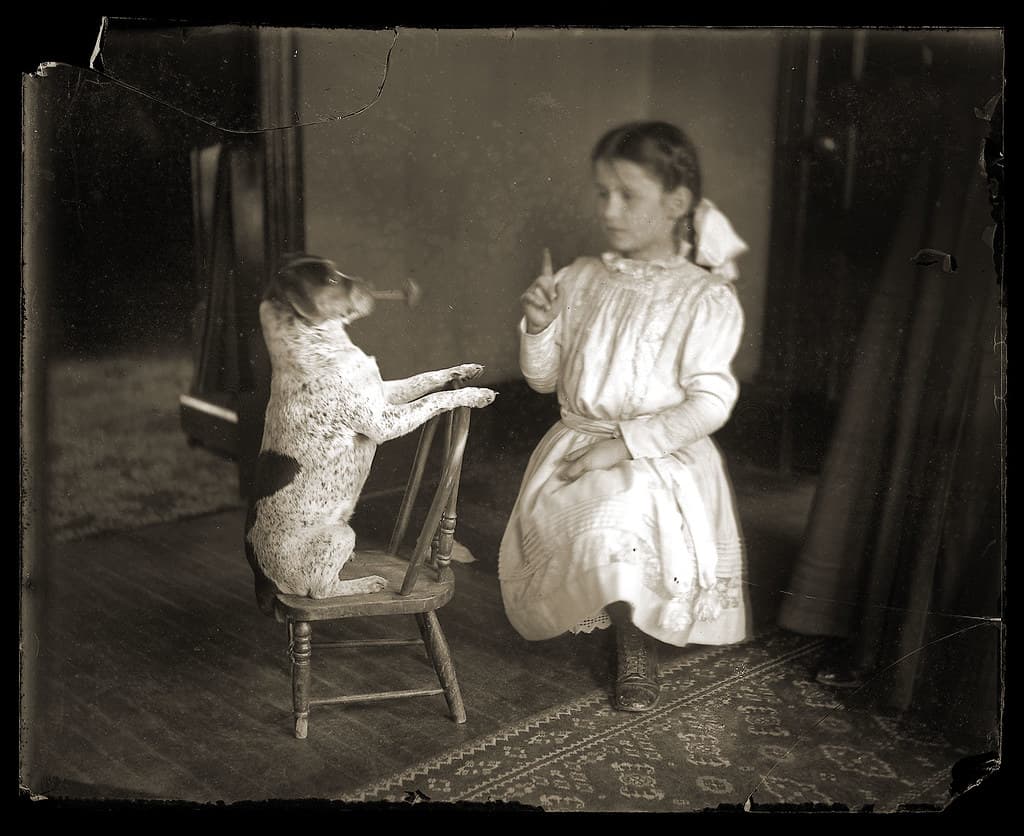A girl playing with a dog, c1913