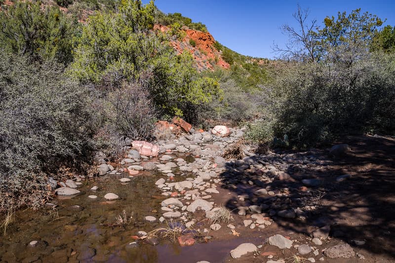 Woods Canyon Trail No. 93