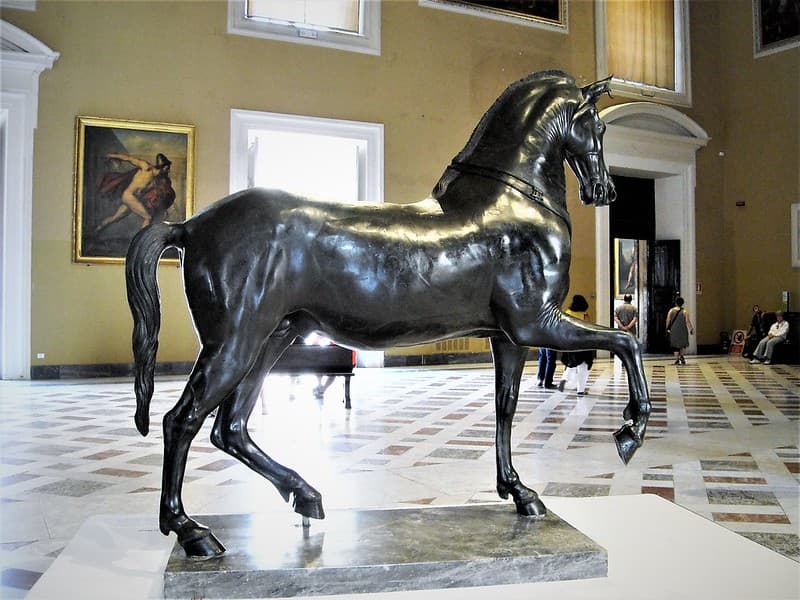 Archaeologicalmuseum, herculaneum, horse
