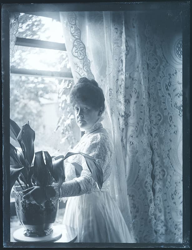 Woman at the window, with her prized Aspidistra