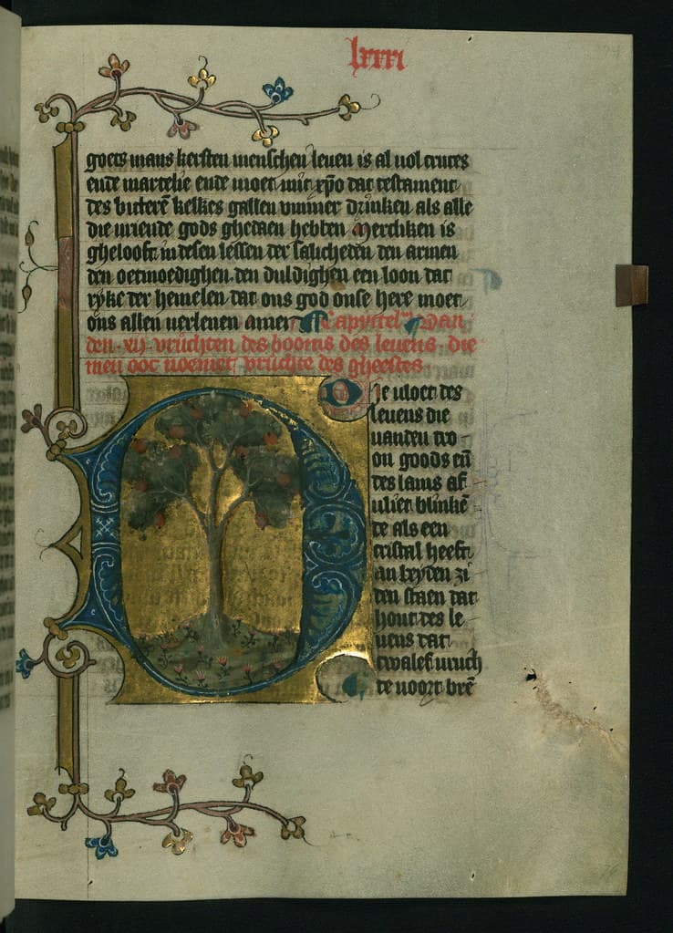 Book, codex, devotional