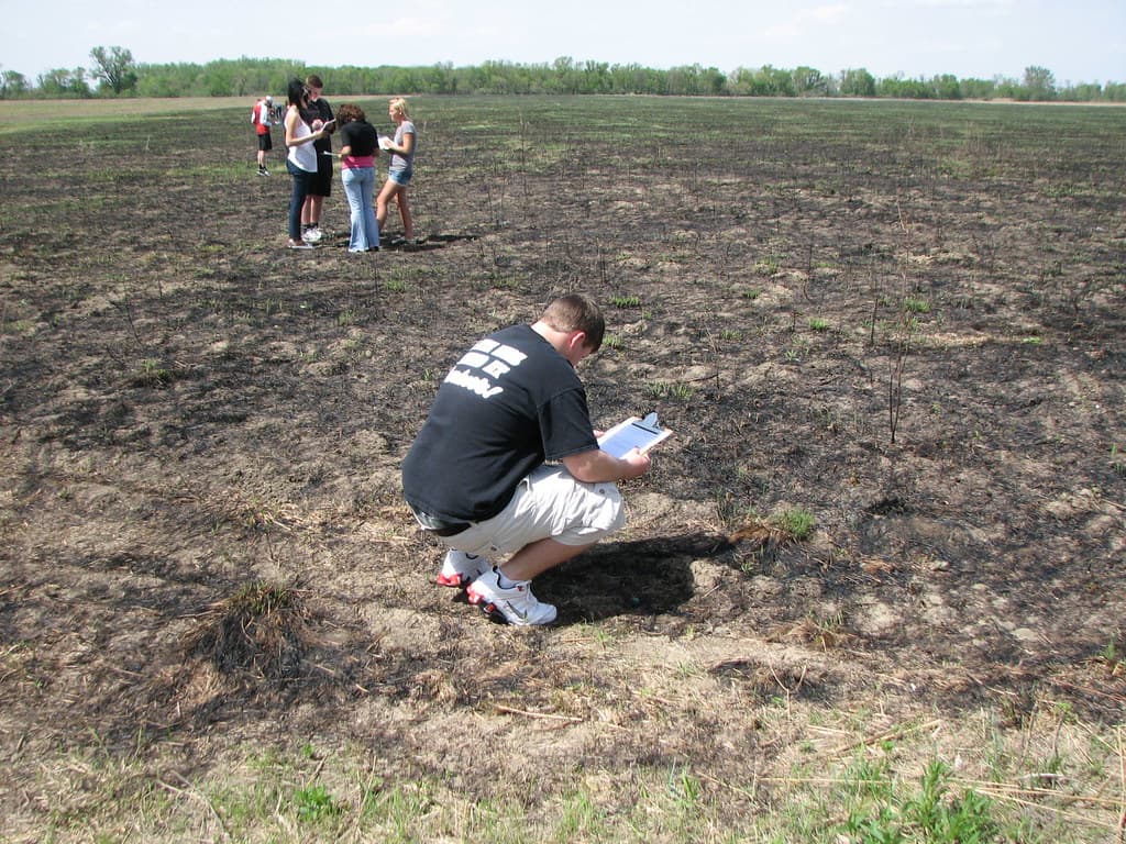 Fire as a Tool