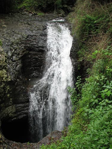 Waterfall in the Gold Coast Hinterlands