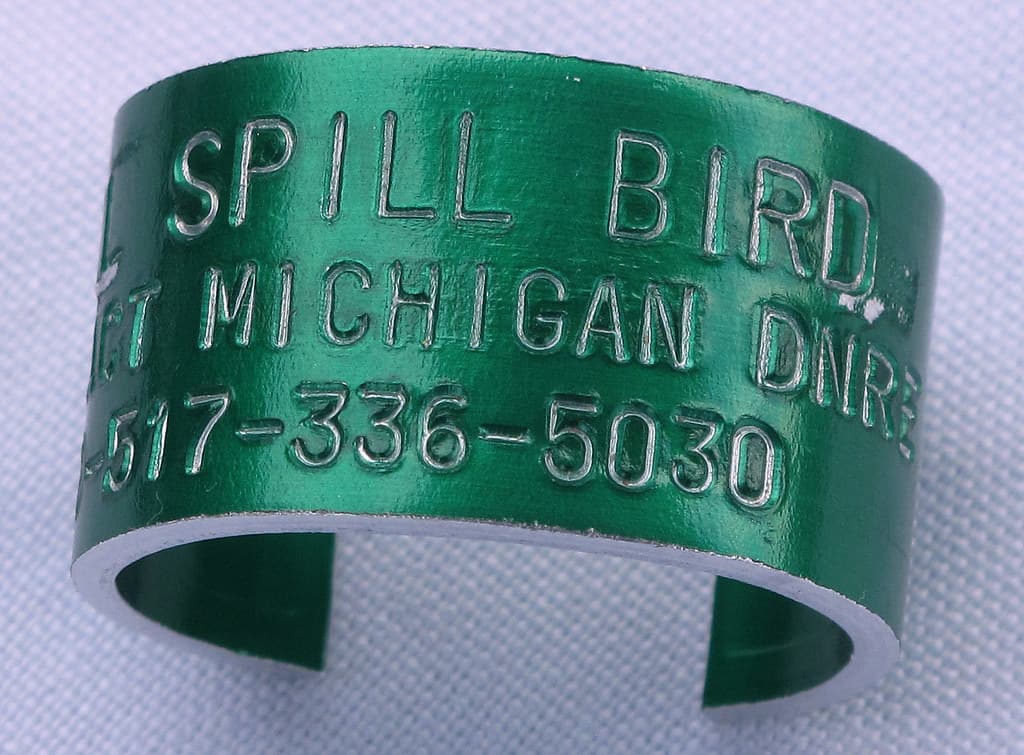Enbridge, kalamazoo, michigan