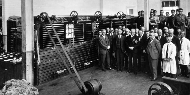 Machinery, shearing, woolclipmachines